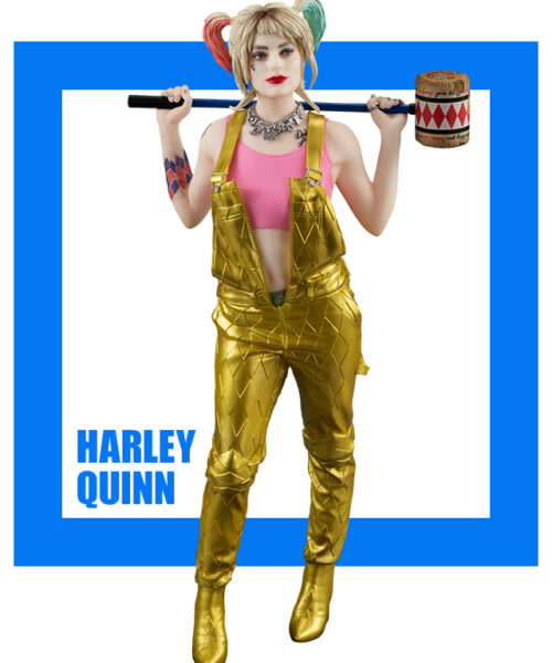 Birds Of Prey SSS Figure Harley Quinn