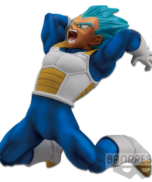 Chosenshiretsuden Super Saiyan God Super Saiyan Vegeta Vol 7