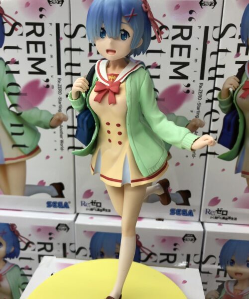 PM Figure Rem Student