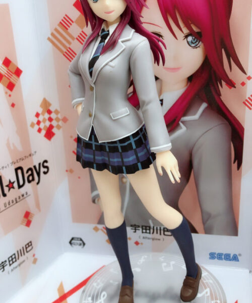 Udagawa Tomoe School Days
