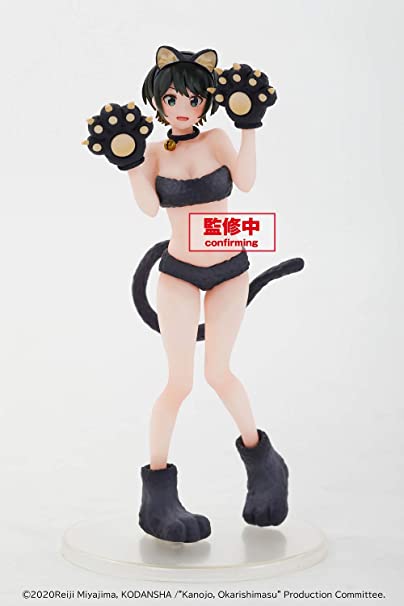 Taito You Borrow You Coreful Sarashina Ruka Pvc