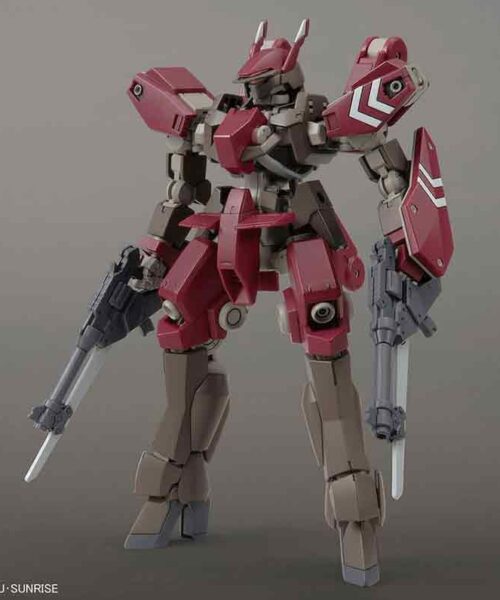 HG IBO #44 Cyclase’s Schwalbe Custom