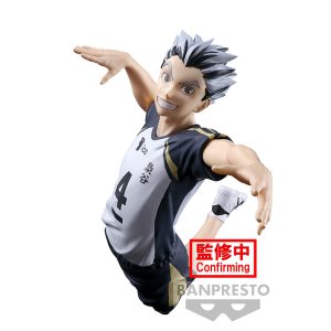 Kotaro Bokuto Posing Ver