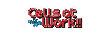 Anime Import - CELL'S AT WORK